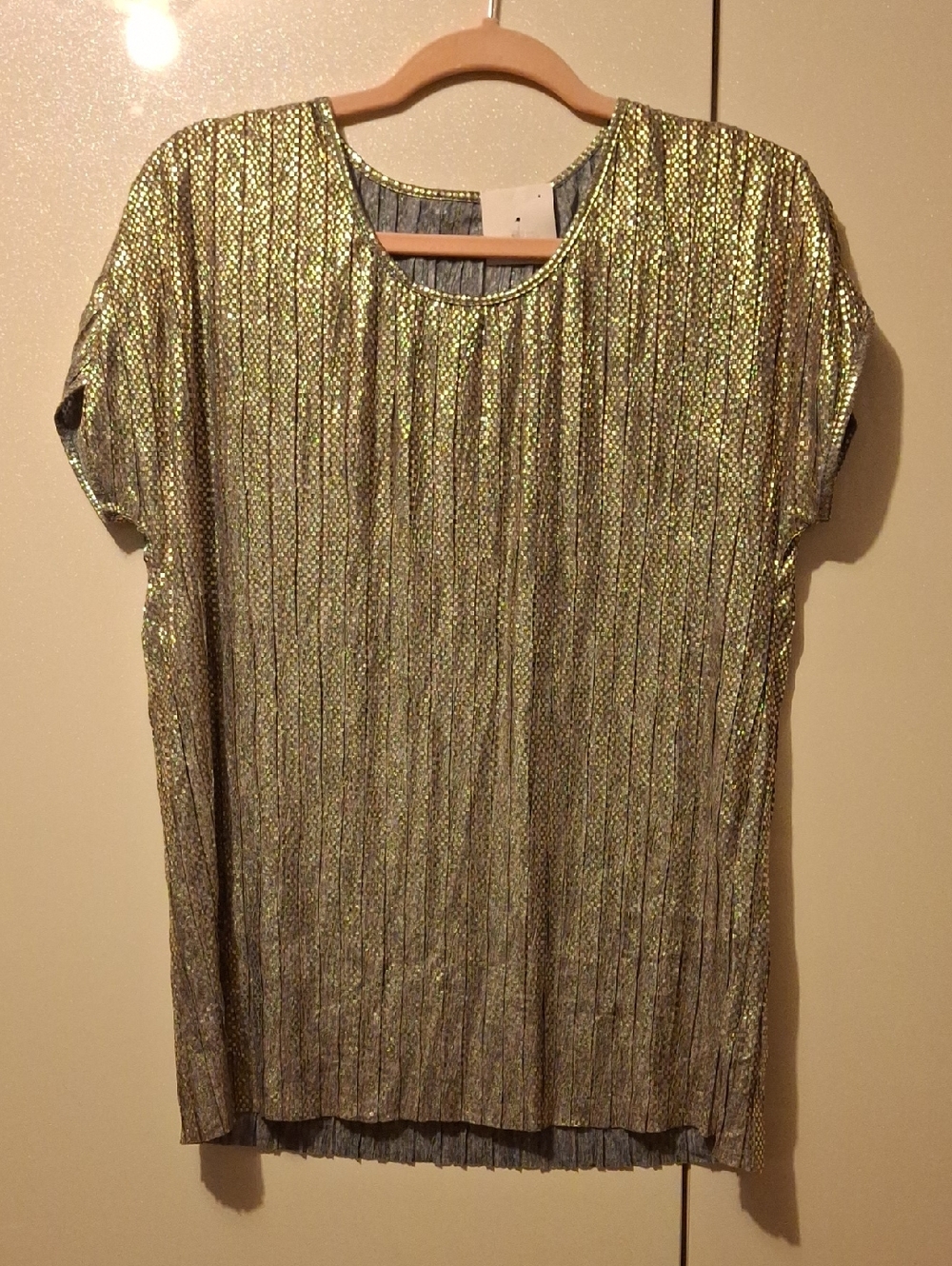 Metallic Gold / Silver Pleated Short-Sleeve Top